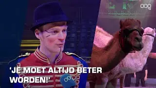 Dansende paarden en kamelen bij Circus Renz International in Haren