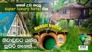 නිවාඩුවට යන්න සුපිරිම තැනක්..    ගස් උඩ හදපු සුපිරි නවාතැන.🤭 Tree Nature Resort  👍 Subscribe 🔔