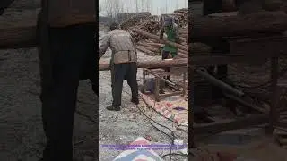 Fast Wood Cutting: Portable Sawmill in Action