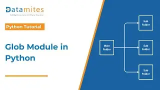 How to Use the Glob Module in Python | Python Tutorial