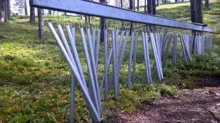 Helin&auml;puu in Soiva Mets&auml; in Suomussalmi