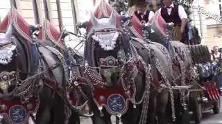 Oktoberfest Sch&uuml;tzen  und Trachtenzug in M&uuml;nchen