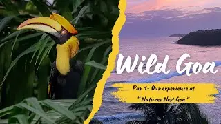 Wild Goa - Part 1 | Our experience at - Natures Nest Goa 
