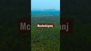 Mccluskieganj, an Anglo-Indian community in Jharkhand #shorts #jharkhandtourism