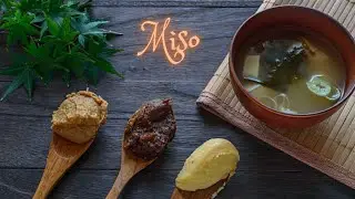 MISO guía completa: TIPOS, BENEFICIOS USOS / WHAT IS MISO #miso comidajaponesa #probioticos