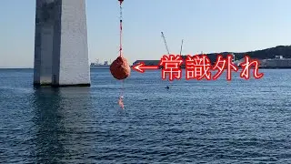 海で吸い込み釣りをするとなにが釣れるのかな？