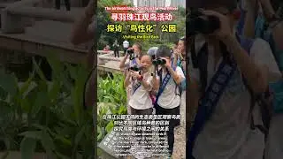 A parent-child birdwatching activity held in the Pearl River Park, Guangzhou