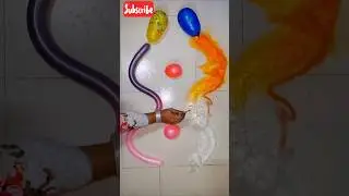Crazy Snake Balloons Pop Challenge 🎈🐍💦 #colorfulballoons #satisfying #shorts #asmr #funny
