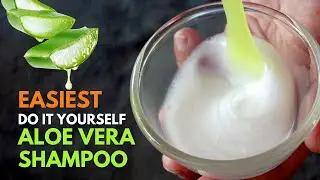 How To Make Aloe vera Shampoo at Home