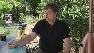 How to Quickly Reduce the Hydroponic pH Level for Plants