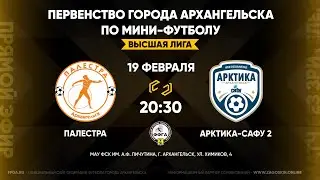 Live. Палестра - Арктика-САФУ 2 (19.02.2022)