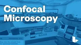 Learn Science Smarter &ndash; Confocal Microscopy &ndash; Labster