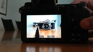 Nikon Z7 AF Test (Low Light)