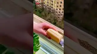 window cleaning brush #easy #clean #window slider #deodap #shortsvideo