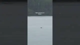 Glacier Boat Tour In Alaska Whittier