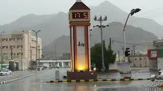 عشق بارق