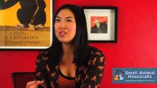 Client Testimonial:  In-Home Euthanasia