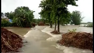 bihar flood 2024