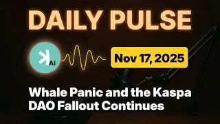 Kaspa Daily (Nov 17) - Whale Panic and the Kaspa DAO Fallout Continues