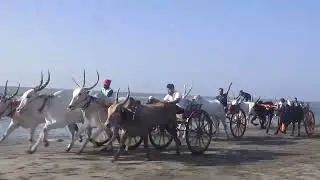 Gat 5 kamath bandar 01/01/2026
