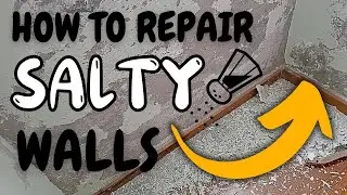 Repair Your Concrete Wall after Salt Damage
