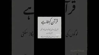 Quran | Islam Pulse #IslamPulse @IslamPulse786  #quran