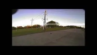 Curtis nitro rc