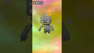 Shuppet | Banette | Evolution in Pokemon Scarlet & Violet #pokemon #evolution #shorts