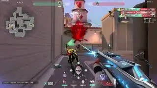 H0ly M0ly Montage #13