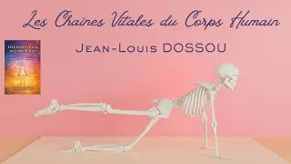 Les Cha&icirc;nes Vitales du Corps Humain &ndash; Les 9 Fondations de la Sant&eacute; | Live avec Jean-Louis DOSSOU