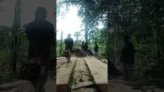 adu cepat, oprator serui papua, lawan oprator sanger💪💪