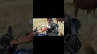 Опять перегон Шампань -Ики Бухус 😉
