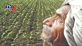 Runa Mafi Dilema Becomes A problem For Kurnool Farmers : TV5 news