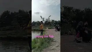 Toying 1kg white bass #shortvideo #shorts #short #fishing #shimanosienna #shimanofx #whitebass