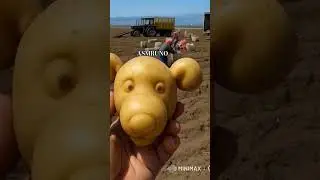 You Won&rsquo;t Believe This Potato Exists!#shortsfeed #food#asmr #satisfying#shortsfeed#shorts#viralvideo