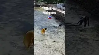 Fishing in the Philippines.  Those little fish swim fast. #philippines #filipinofood