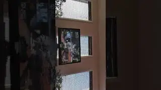 Sniper battle
