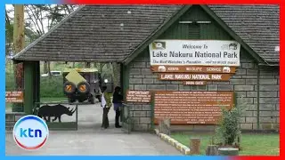 Free entry to national parks draws huge crowds on World Tourism Day, Nakuru locals protesting denial