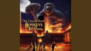 The Desert Rocks