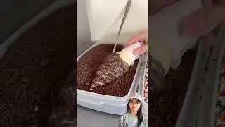 Why this ice cream is reversed⁉️😭👀🍦