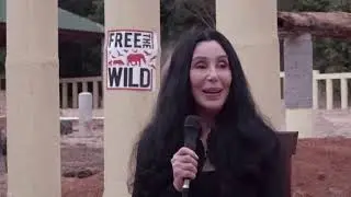 Cher helps rescue the world's loneliest elephant