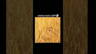 Our Team CMP🤣🤣...##free fire ##garena #gaming #scary Dad Gaming