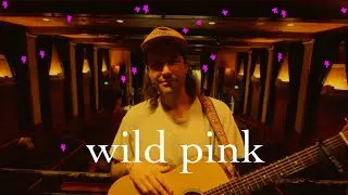 wild pink - the shining but tropical (a small song)