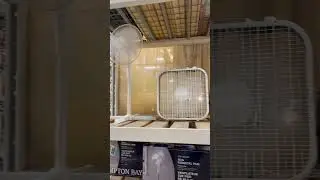 Fans at Home Depot