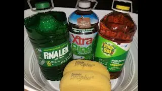 ASMR🌲MY 3 MUSKETEERS(XTRA PINE🧡PINE PINALEN💚PINE SOL💛)🥳APPRECIATION VIDEO🥳 200💥YT & 600💥IG