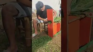 Evaluation of vegetable cutting safety protection tools