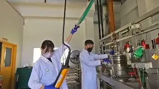 Supercritical fluid extraction of dabai