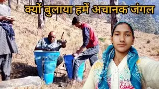 दिन की  तेज धूप में जाना पड़ा इतनी दूर 😟|| Pahadi lifestyle vlog || Village life 