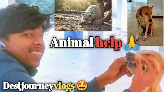 ANIMALS Need Our Help Now 🙏🙏 #desijourneyvlogs #animals #minivlog #shorts #viral #travelblog #2026 