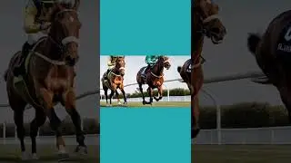 Prix Montgomery. Auteuil. Quint&eacute; +. 23 octobre 2025  #courseshippiques #pmu #turf #quinte